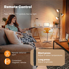 SIBRILLE FLH-036-F1 36W Floor Lamp | Black