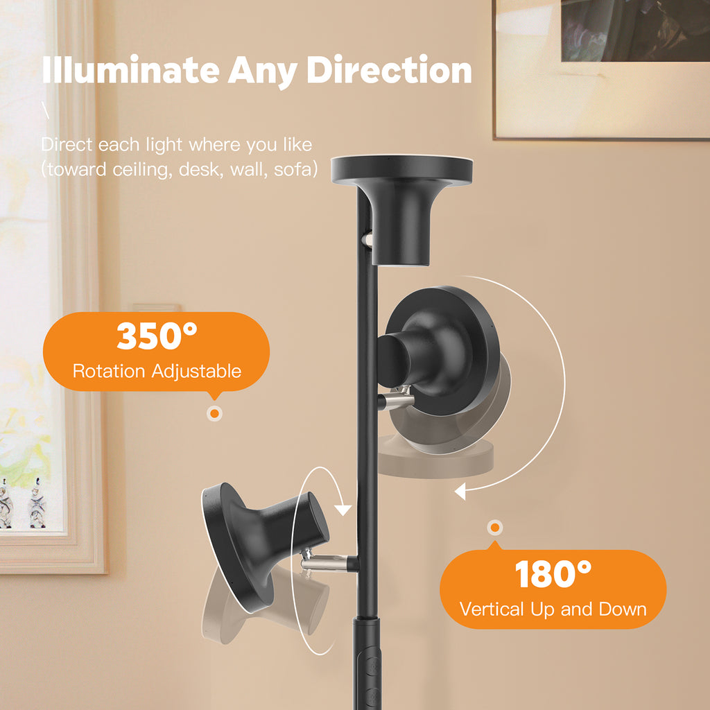 SIBRILLE FLH-036-F1 36W Floor Lamp | Black