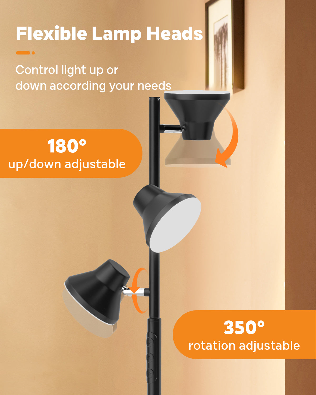 SIBRILLE FLH-036-F2 36W Floor Lamp | Black