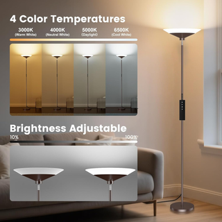 SIBRILLE LED Torchiere Floor Lamp